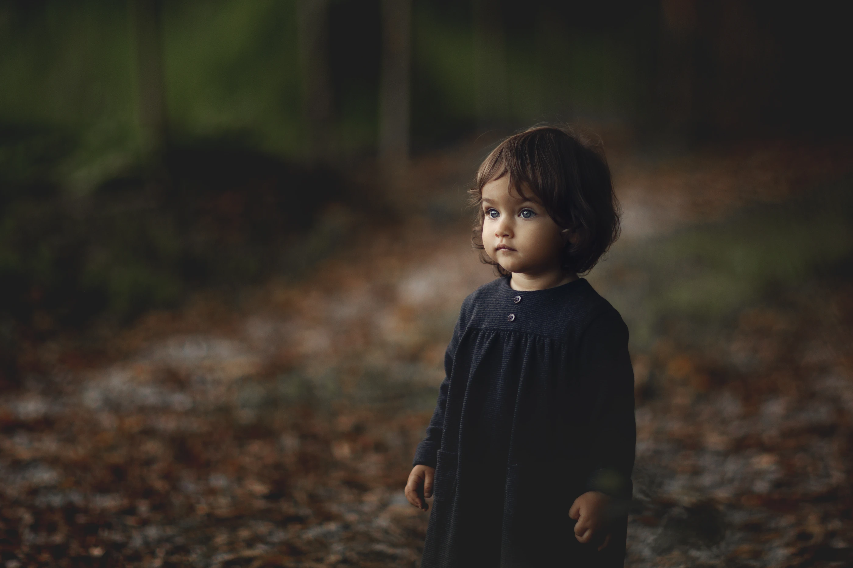 Bambina in un bosco autunnale